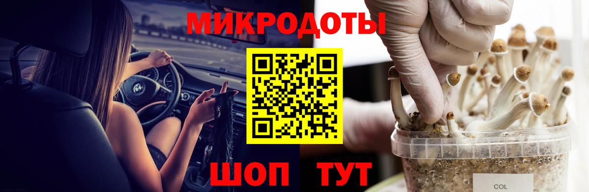 Псилоцибиновые грибы прущие грибы  Вход с VPN  Псилоцибиновые грибы Cubensis  Самара 