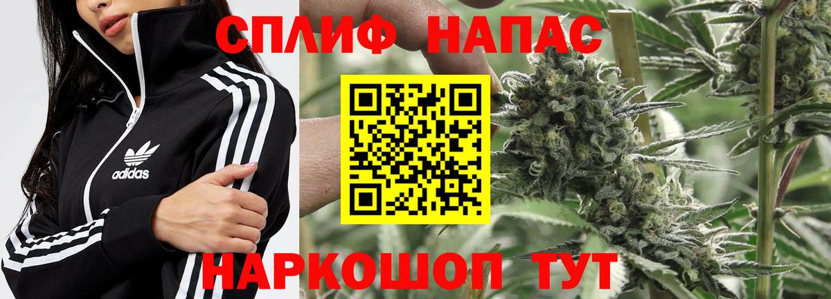 Каннабис ГИДРОПОН Самара